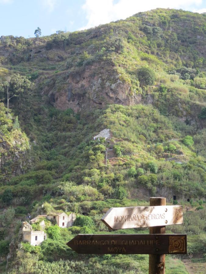 La Cueva De Angel B&B Firgas Dış mekan fotoğraf